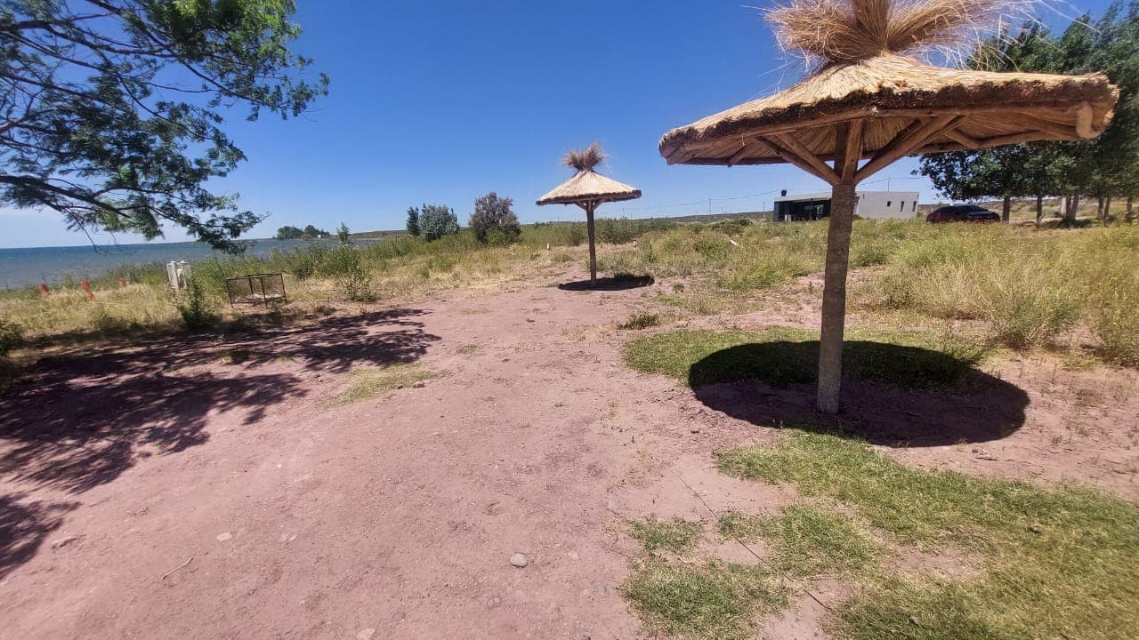 Mari Menuco